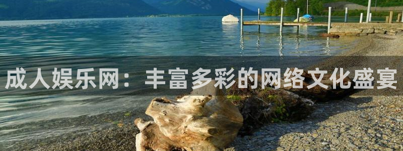 环球360官网：成人娱乐网：丰富多彩的网络文化盛宴