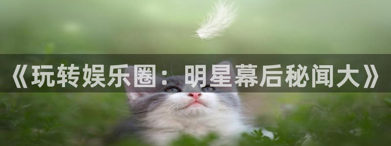 环球360：《玩转娱乐圈：明星幕后秘闻大》