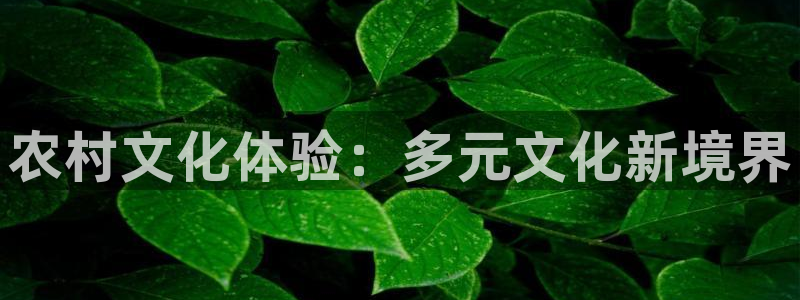 环球360官网会员注册：农村文化体验：多元文化新境界