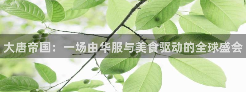 环球360官网：大唐帝国：一场由华服与美食驱动的全球盛会