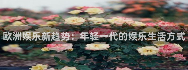 环球360官网：欧洲娱乐新趋势：年轻一代的娱乐生活方式