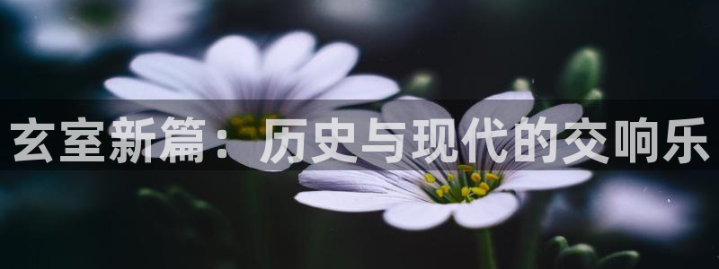 环球360官网会员注册：玄室新篇：历史与现代的交响乐