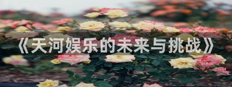 环球360娱乐官网免费观看：《天河娱乐的未来与挑战》