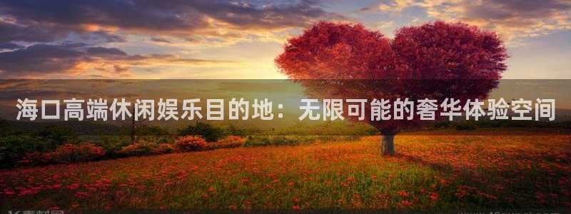 环球360登录入口：海口高端休闲娱乐目的地：无限可能的奢华体验空间