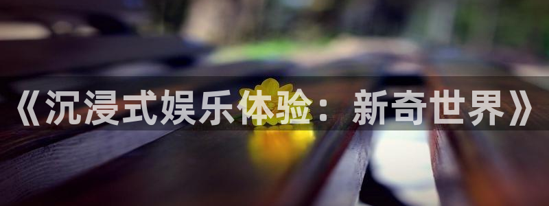 环球360私网一比一：《沉浸式娱乐体验：新奇世界》