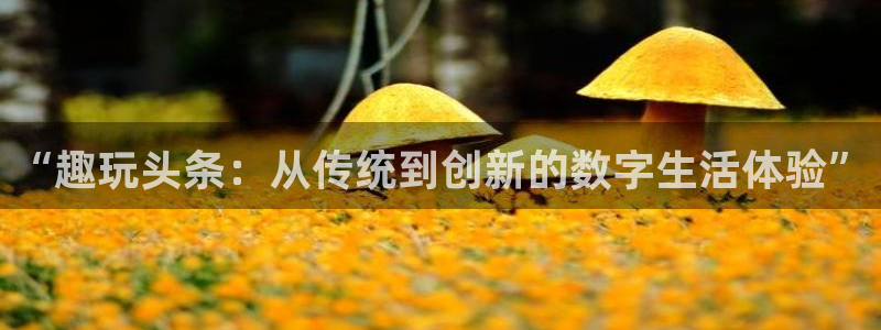 环球360私网代理合作：“趣玩头条：从传统到创新的数字生活体验”